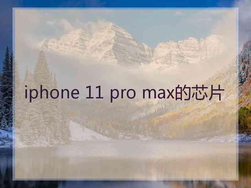 iphone 11 pro max的芯片