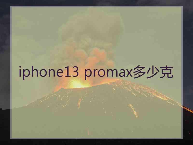 iphone13 promax多少克