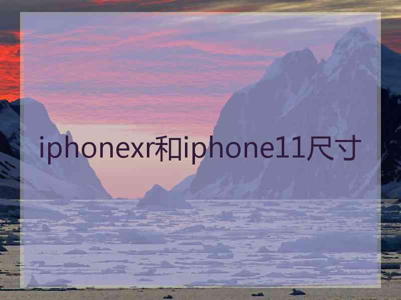 iphonexr和iphone11尺寸