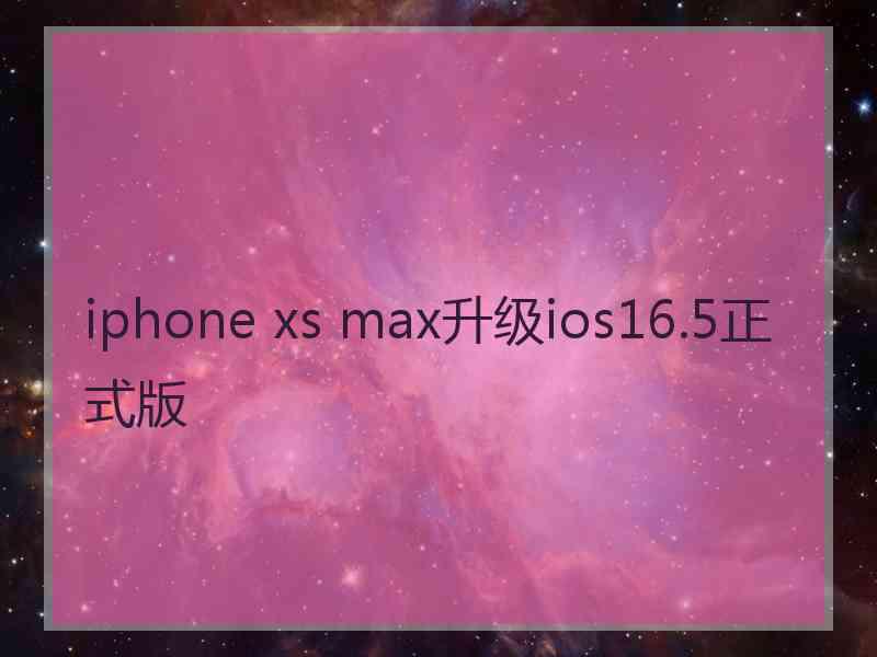 iphone xs max升级ios16.5正式版