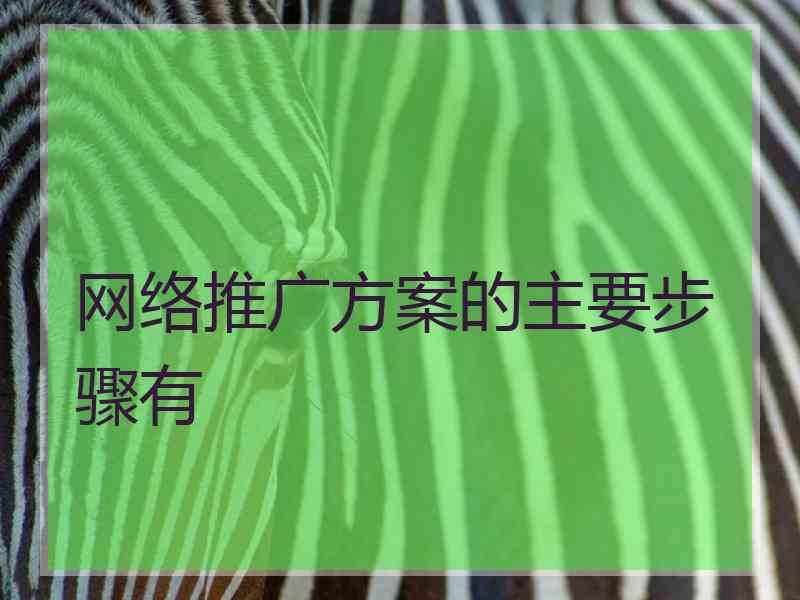 网络推广方案的主要步骤有