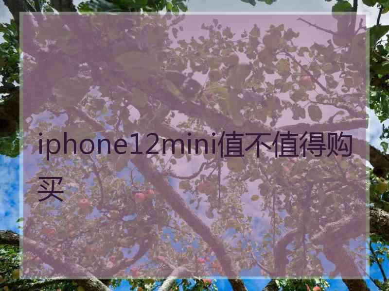 iphone12mini值不值得购买