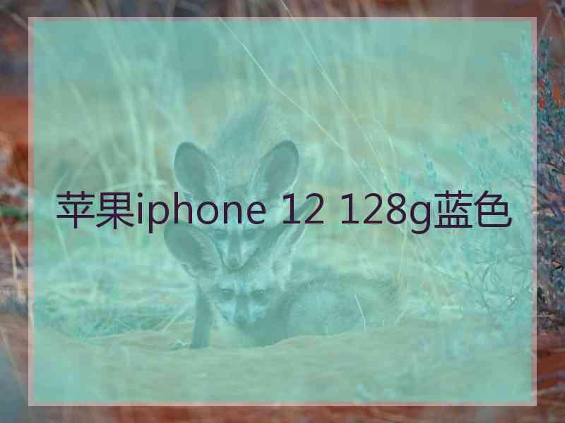 苹果iphone 12 128g蓝色