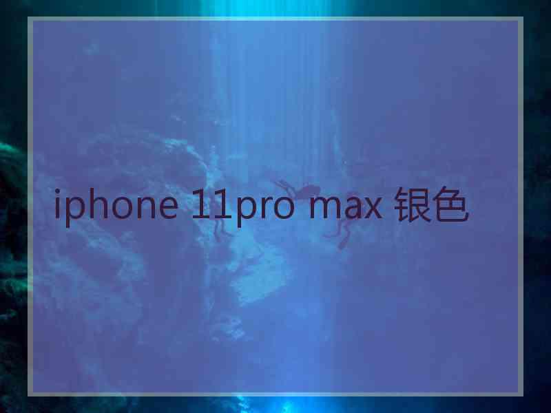 iphone 11pro max 银色