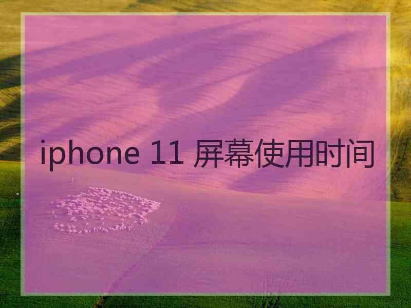 iphone 11 屏幕使用时间