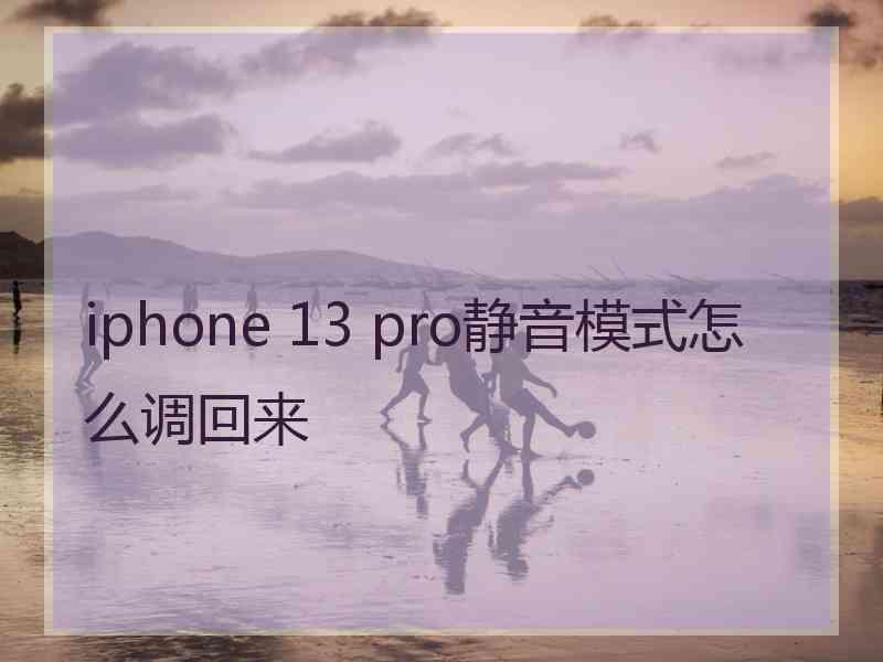 iphone 13 pro静音模式怎么调回来