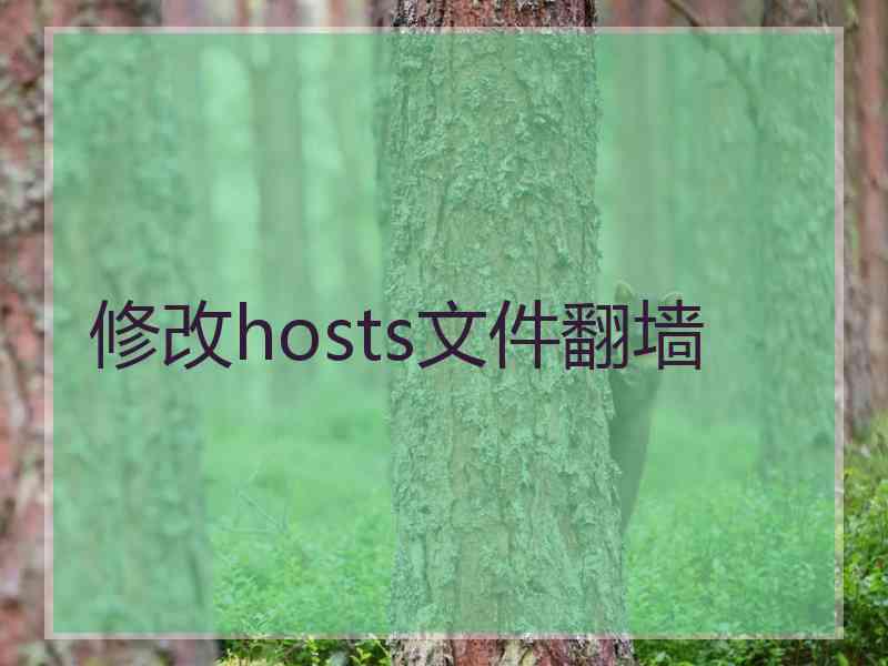 修改hosts文件翻墙