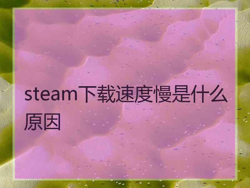 steam下载速度慢是什么原因