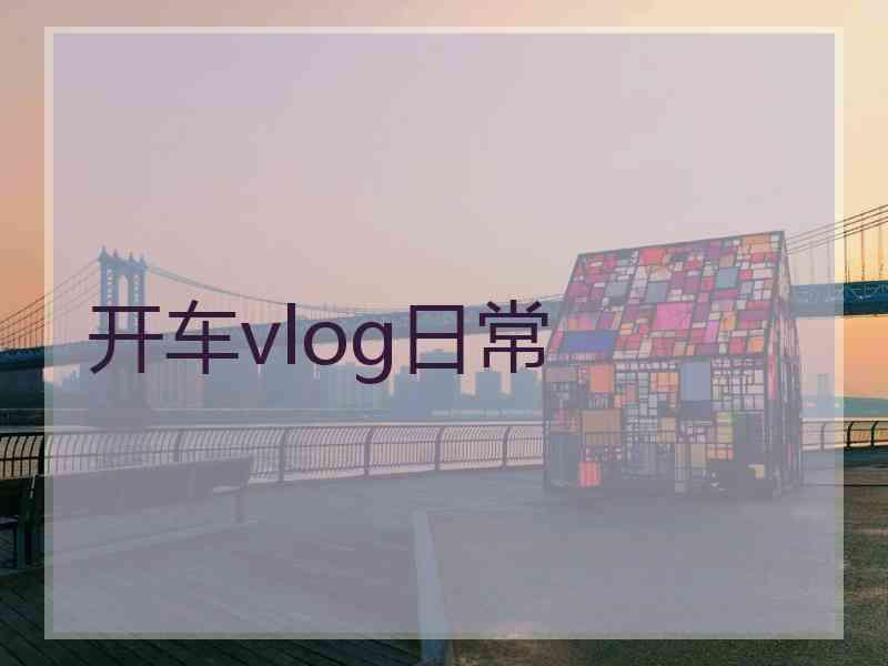 开车vlog日常