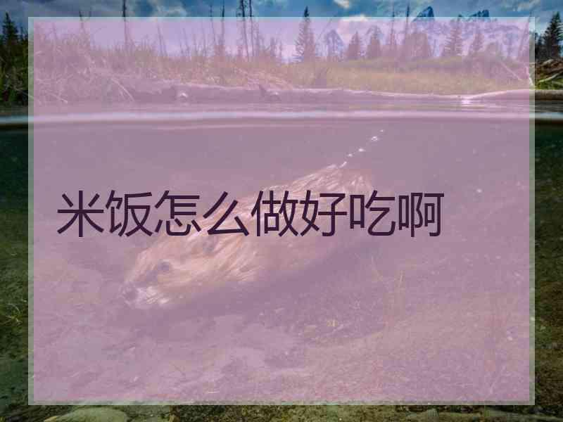 米饭怎么做好吃啊