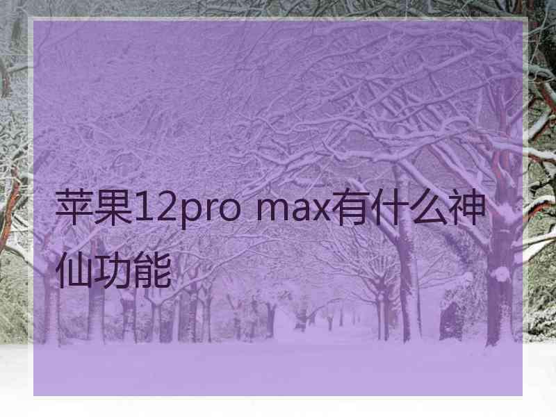 苹果12pro max有什么神仙功能