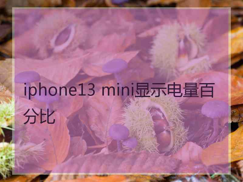 iphone13 mini显示电量百分比