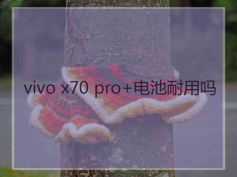 vivo x70 pro+电池耐用吗