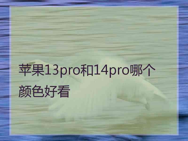 苹果13pro和14pro哪个颜色好看