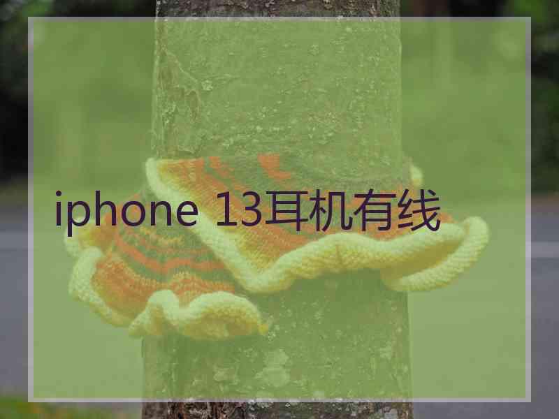 iphone 13耳机有线