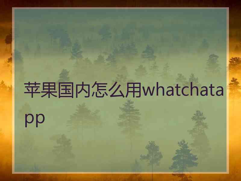 苹果国内怎么用whatchatapp