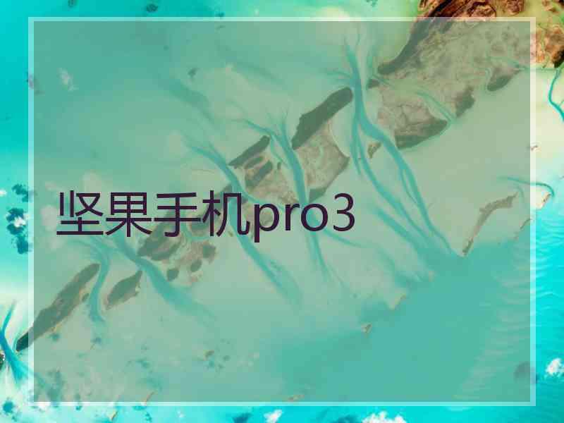 坚果手机pro3