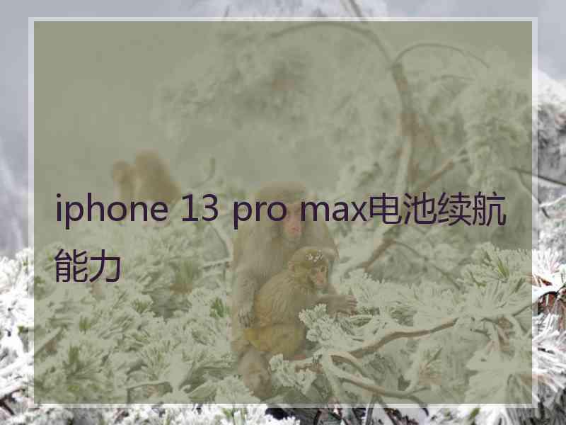 iphone 13 pro max电池续航能力