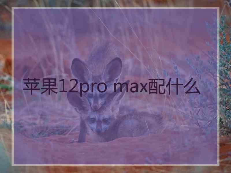 苹果12pro max配什么