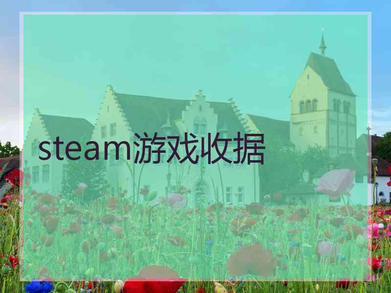 steam游戏收据