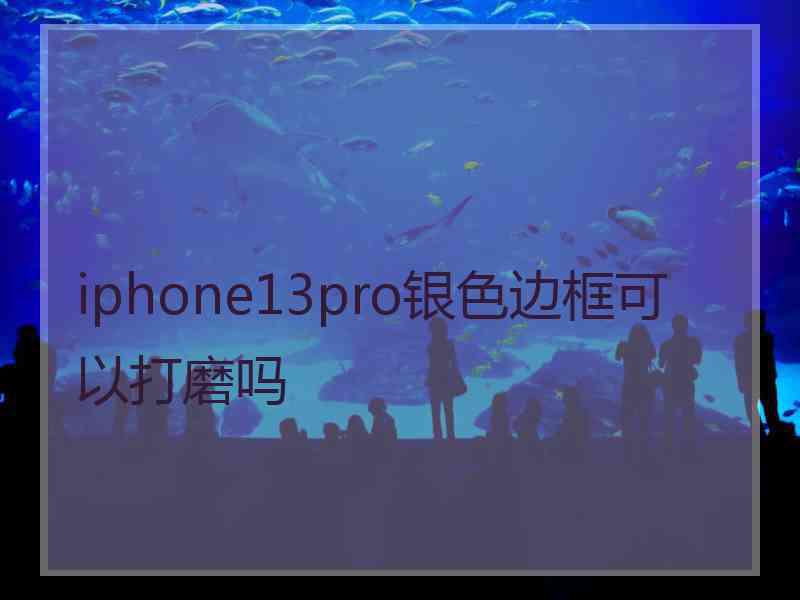 iphone13pro银色边框可以打磨吗