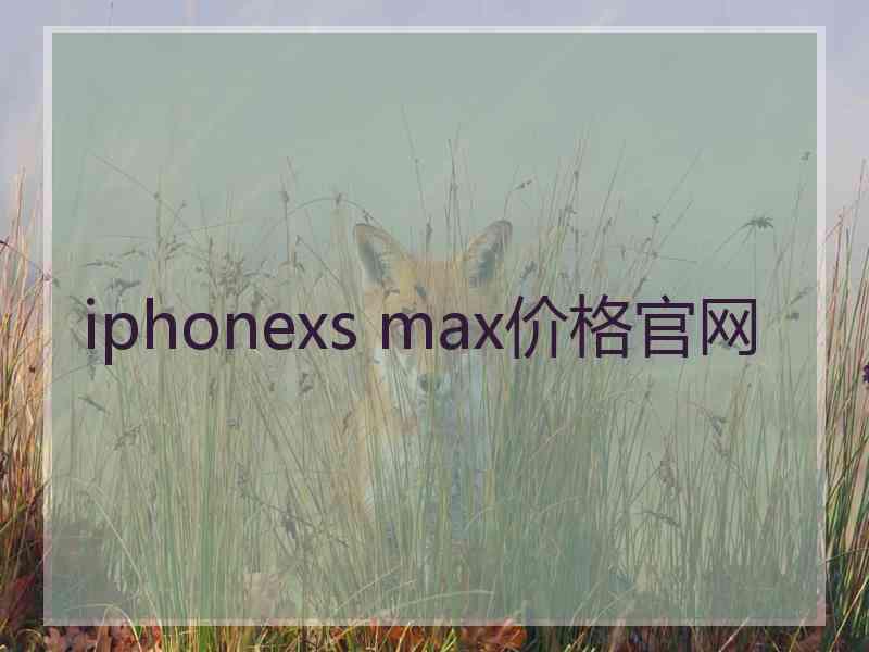 iphonexs max价格官网