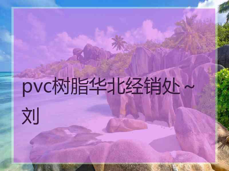 pvc树脂华北经销处～刘