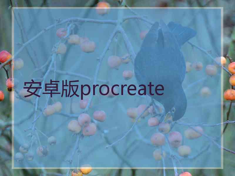 安卓版procreate