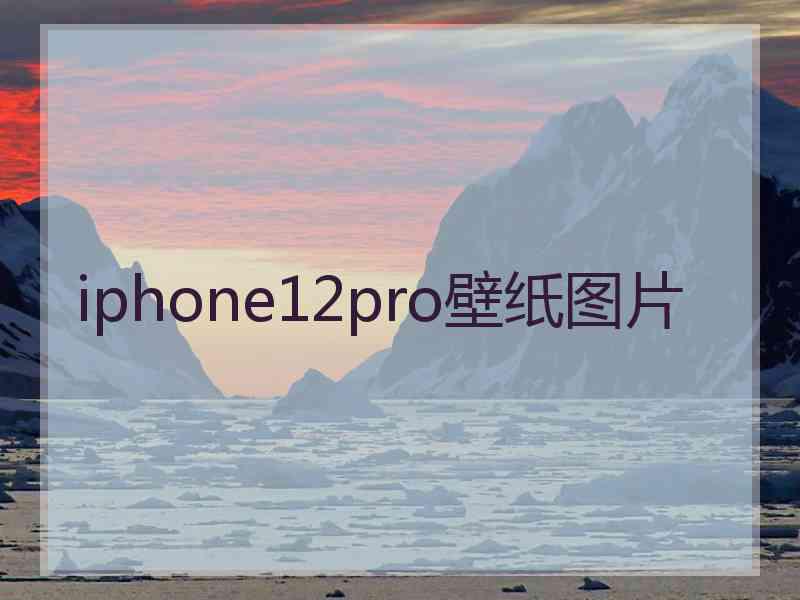 iphone12pro壁纸图片