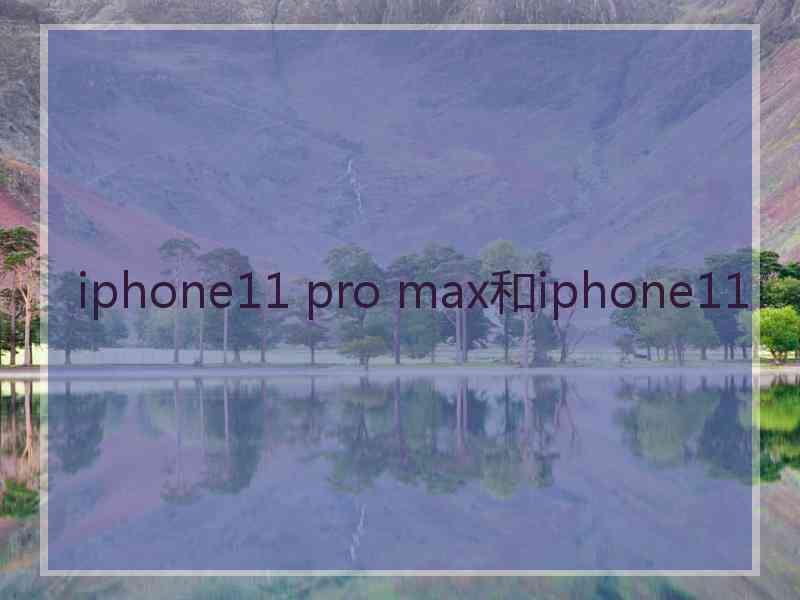 iphone11 pro max和iphone11