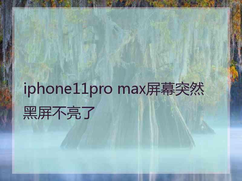 iphone11pro max屏幕突然黑屏不亮了