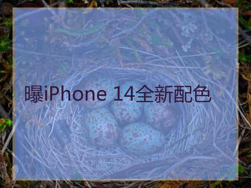 曝iPhone 14全新配色