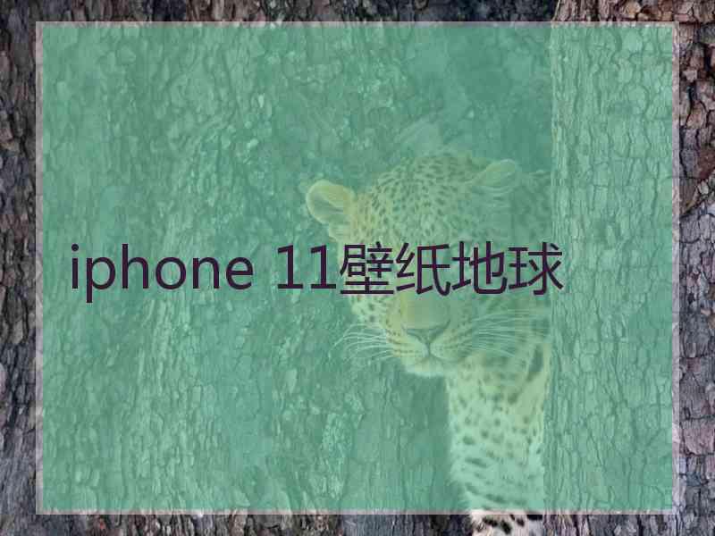 iphone 11壁纸地球