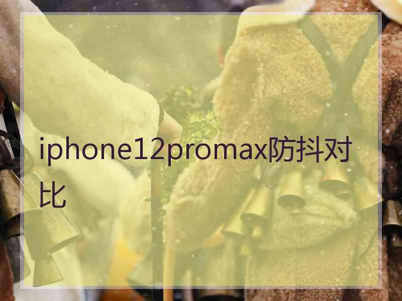 iphone12promax防抖对比