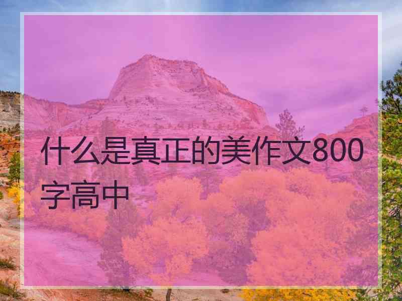 什么是真正的美作文800字高中