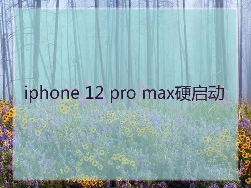 iphone 12 pro max硬启动