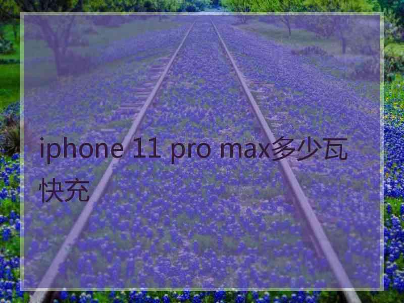 iphone 11 pro max多少瓦快充