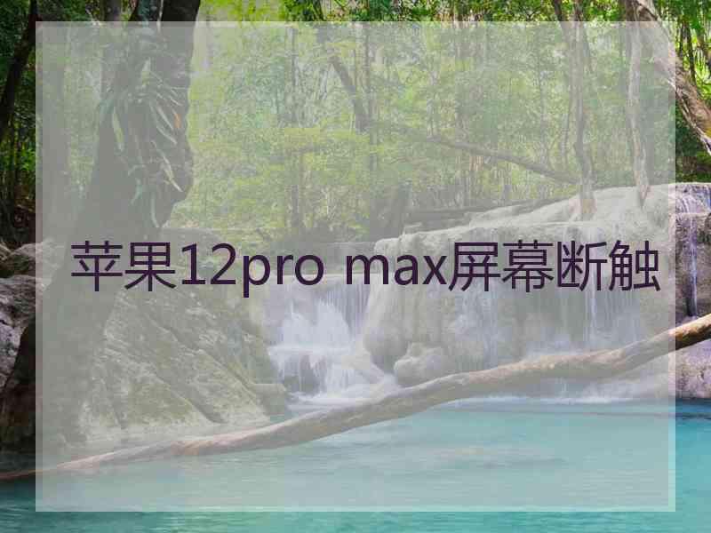 苹果12pro max屏幕断触