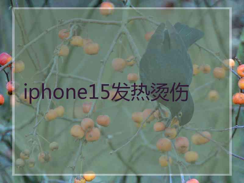 iphone15发热烫伤