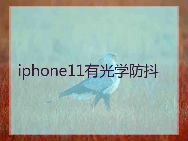 iphone11有光学防抖