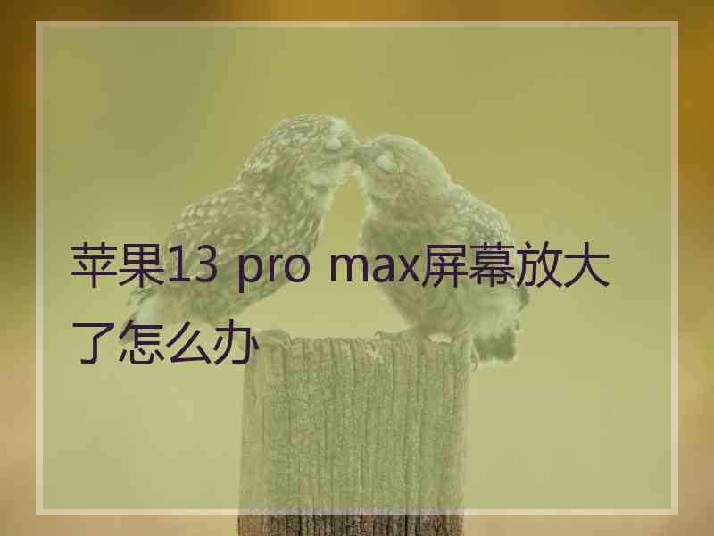 苹果13 pro max屏幕放大了怎么办