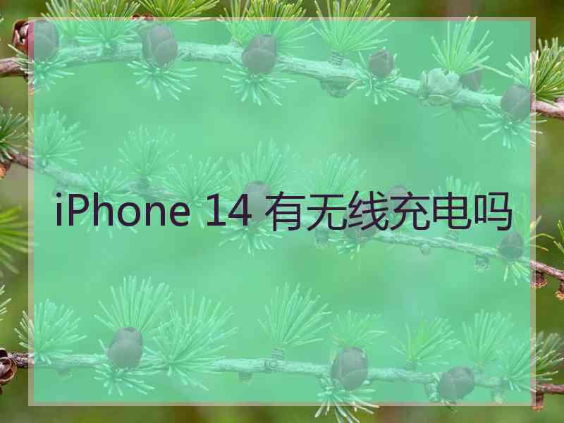 iPhone 14 有无线充电吗