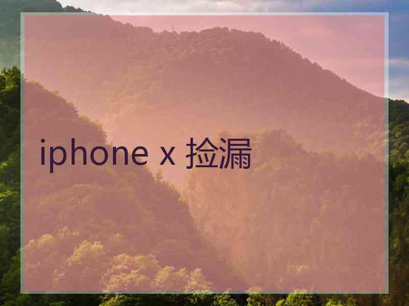 iphone x 捡漏