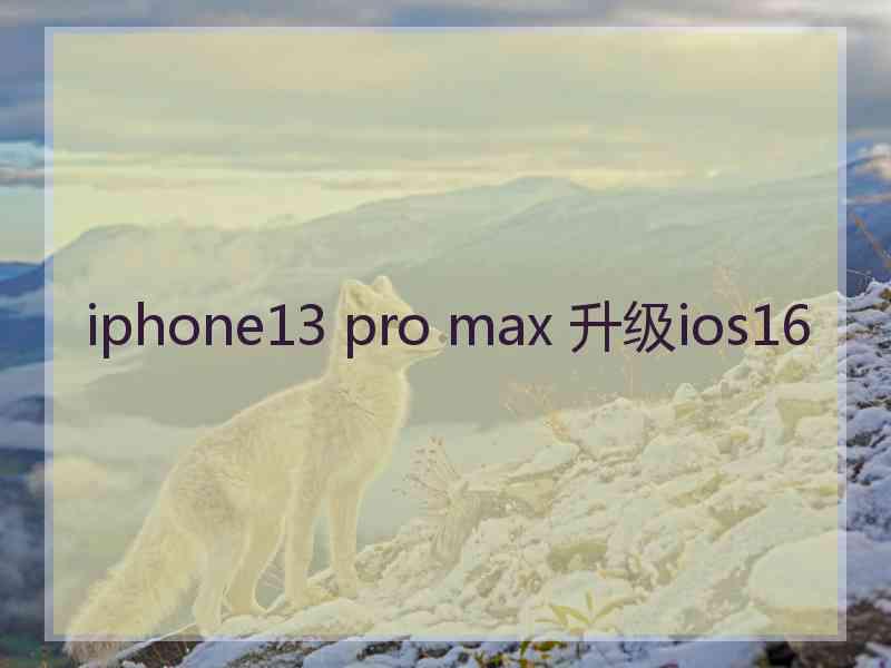 iphone13 pro max 升级ios16