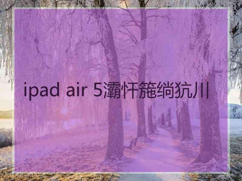 ipad air 5灞忓箷绱犺川