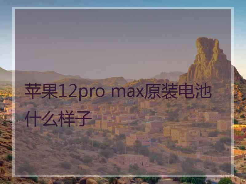 苹果12pro max原装电池什么样子