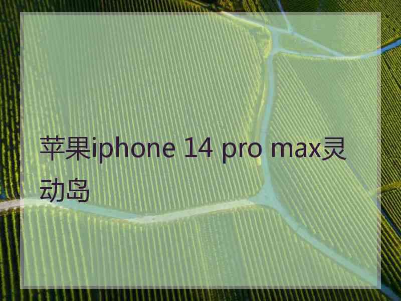 苹果iphone 14 pro max灵动岛