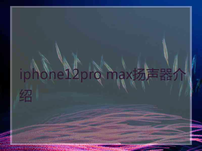 iphone12pro max扬声器介绍