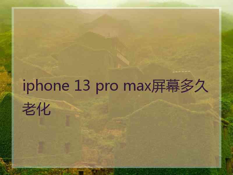 iphone 13 pro max屏幕多久老化