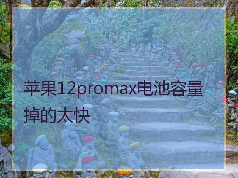 苹果12promax电池容量掉的太快